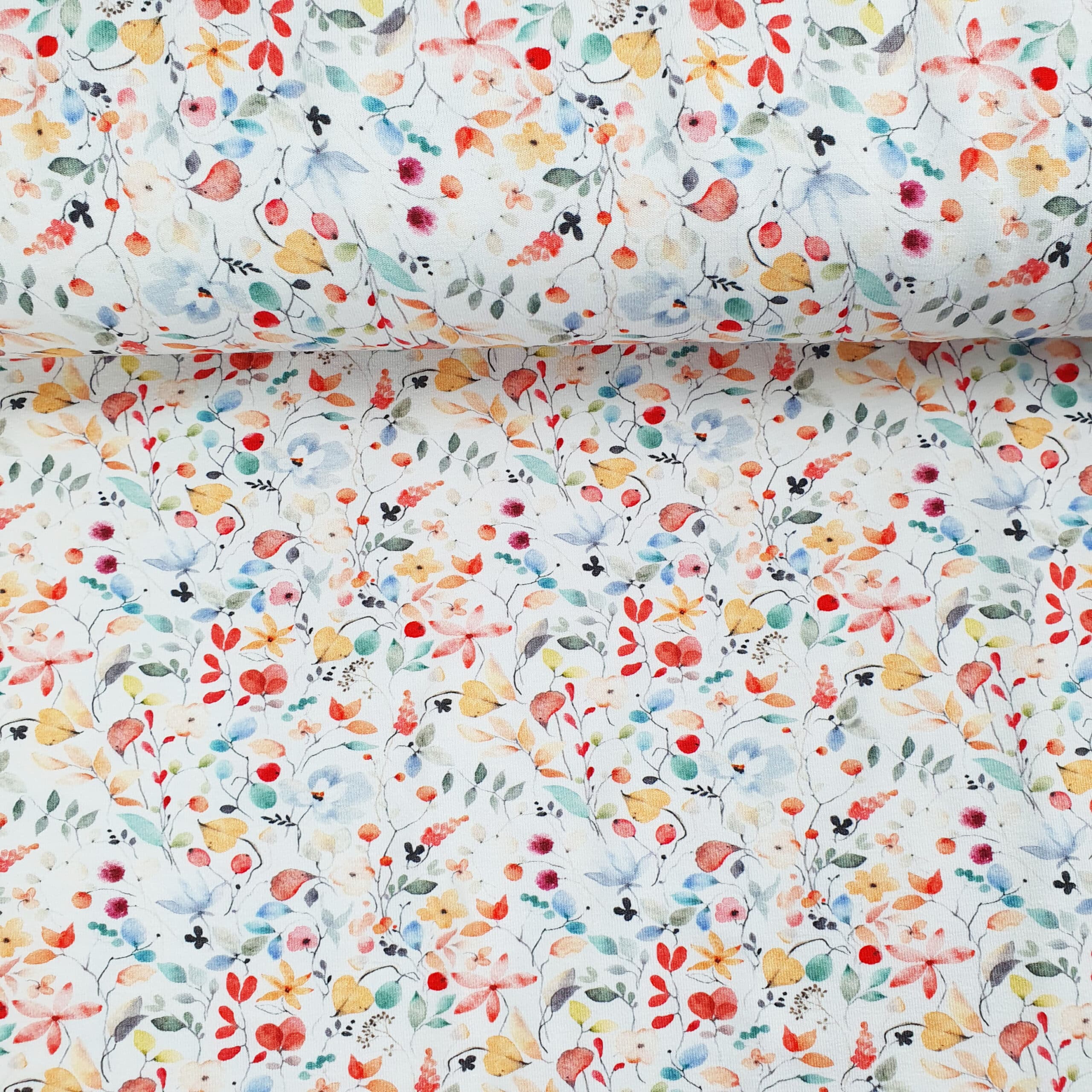 Jersey Blüten ab 0.5m