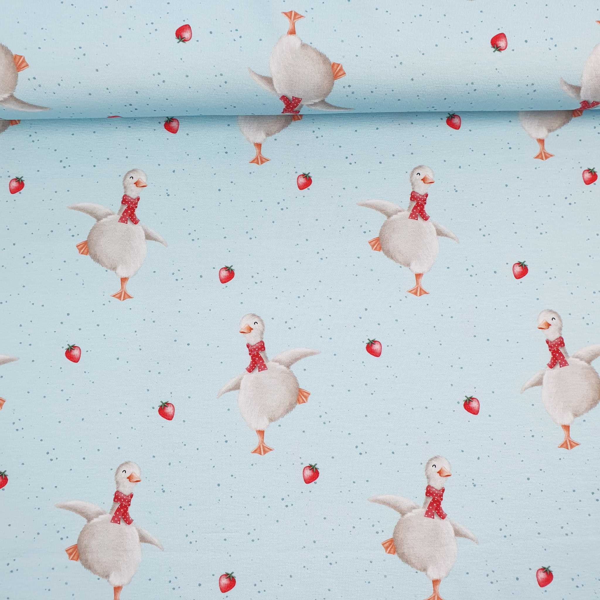Jersey Gans mit Erdbeeren ab 0.5m – Bild 4